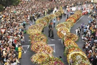 Колумбия ожидает множество гостей на Празднике цветов