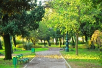 Парк с бесплатным интернетом открылся в Подгорице