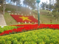 Фестиваль цветов пройдет во Вьетнаме