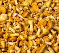 В Испании и Португалии начался праздник грибных закусок