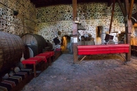 Новый музей вина появился в Болгарии 