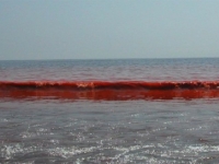 Красное Азовское Море