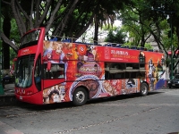 В Мехико создана новая автобусная экскурсия