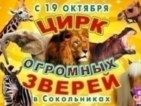 Временный цирк больших животных открылся в Москве