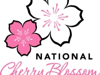 В Вашингтоне пройдет фестиваль цветущей вишни