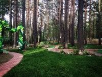 Новосибирский Заельцовский бор будет превращен в красивый пешеходный парк