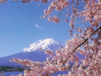 Отдых в Японии: подготовка и особенности 