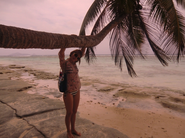 Seychelles-Palms