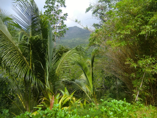 Seychelles-Mountains