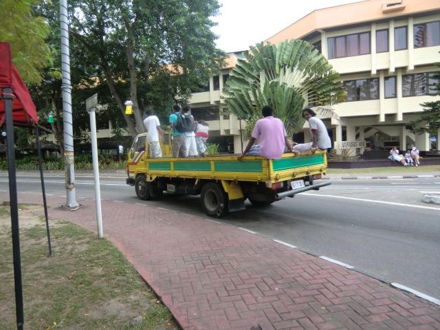 Bus-Seychelles