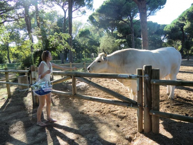 Zoo-Milano-Marittima