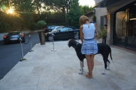 Saint Tropez