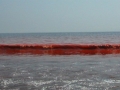 Красное Азовское Море