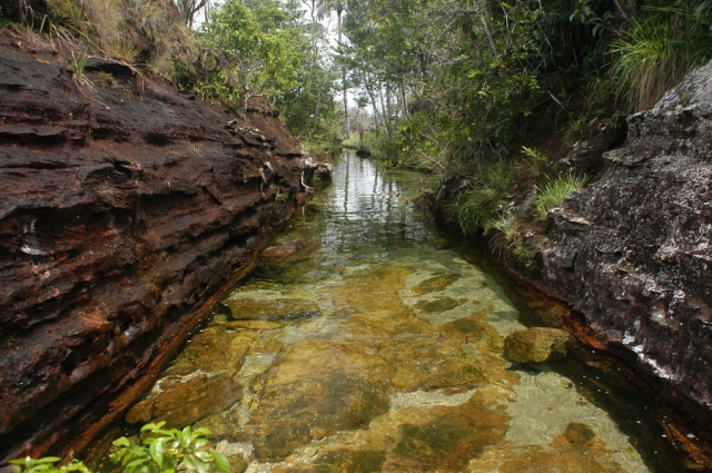 Cano-Cristales
