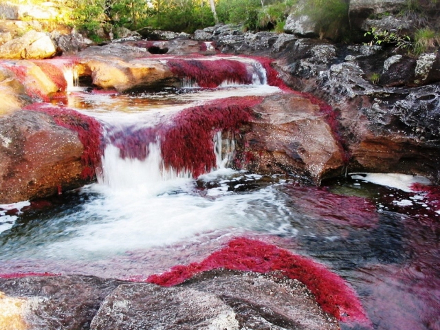 Reka-Cano-Cristales