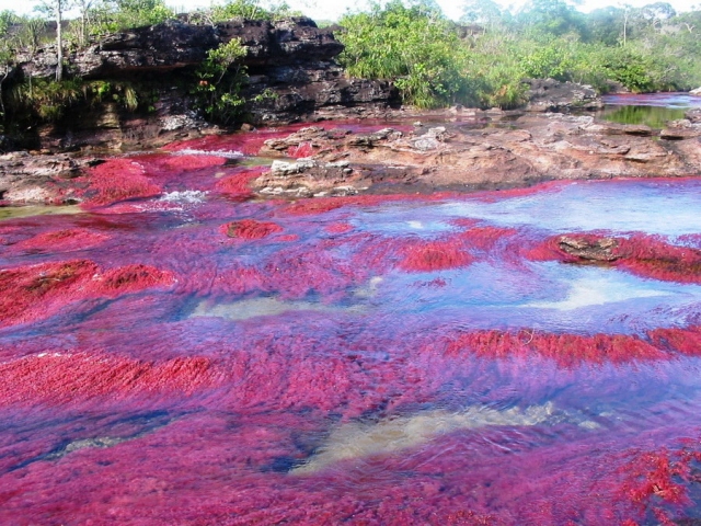 Red-River