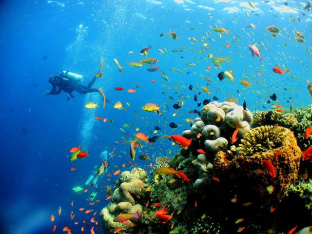 Pulau Sipadan