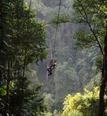 Gibbon-Experience-Treehouse